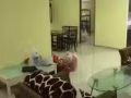 义顺大牌310夫妻房出租