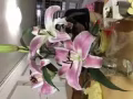 大巴窑一巷布莱德地铁站出口走路两分钟有小房间出租