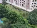Telok blangah Crescent （雙人）普通房出租