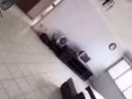 主人房，普通房