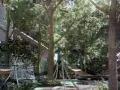 【Daintree Residence】21區 近Beautyworld地鐵站