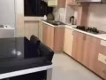 牛車水