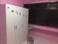 裕廊東Toh Guan Rd, Blk278