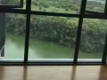 全新公寓2房 出租（无中介费）