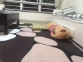 淡滨尼主人房出租