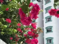 文慶公寓普通房尋一位女搭客