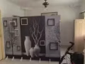 兀兰有简易屏风间出租