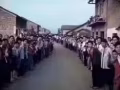 老文理大牌210