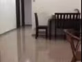 出租普通房间