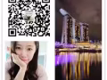 专业办理新加坡 费用低 走得快  欢迎咨询