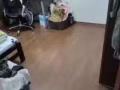 宏茂橋出租主人房/普通房
