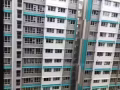 大椑785D普通房出租 只要租一位