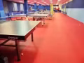 乒乓球陪练