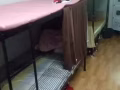 後港一道大牌108男搭房
