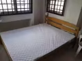 文禮266一間普通房出租