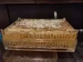 固態野生蜂蜜