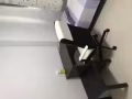 義順普通房出租