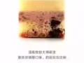尋找有共同理想的朋友一起開發中國榴槤市場