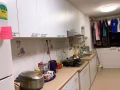 4A 角落兀兰