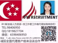覆蓋全島，工作種類多多，新加坡一手中介。快來挑選吧！！！！！