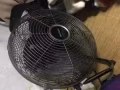 风扇25元处理，勿洛自取85236934