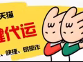 中国专业淘宝 拼多多 京东代购代运至新加坡马来西亚 用心服务 诚信待人