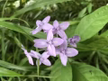 海军部白色公寓