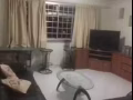 Woodlands 寬敞普通間