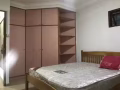 Woodlands 895B