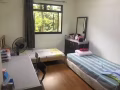 两人间女生住宿，环境安静舒适
