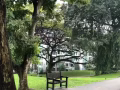 smu.kaplan.nafa各式房間長短期出租-91165298