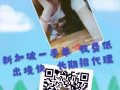 招聘4号集装箱司机 微信18844755789