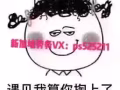 办理新加坡工作 商务部资质公司 办理快 详情咨询杨一薇訫：703468960