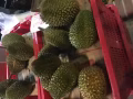 求租可以報地址的單間一間，文慶，波東巴西，實龍崗等地鐵站附近，價格700左右組屋