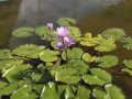 有超大隔間出租
