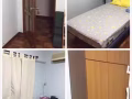 找華人女生一位租住
