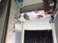 宏茂桥小房，阳台房