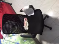 出售单人床加椅子
