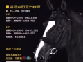 STK 速达汽修 招修车头手。马来西亚，在新加坡中国师傅均可。