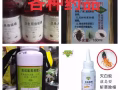 杀虫服务主杀臭虫蟑螂白蚂蚁等，机器出租.出售药水.杀不死绝不要钱，真正良心价！！