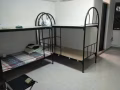 Hougang blk434刚拿新房，招男女搭房，出入自由，无屋主