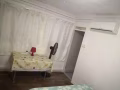 主人房。普通房。一個小房間