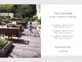 新加坡烏節路豪華公寓出租 - 電話: +65 86608888