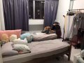Tiong Bahru 普通房尋找女搭房
