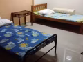 普通房出租