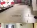 義順yishun 大牌660，主人房普通房找室友，無屋主 無中介，可煮，有空調和