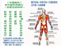 提供上门调理，科学科技去病痛/1分钟：$1/1部位