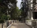 丹拉美娜公寓普通房單間女生合租