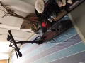 电动车