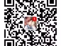 工作匯總 全天在線 歡迎諮詢 微信a18243559530